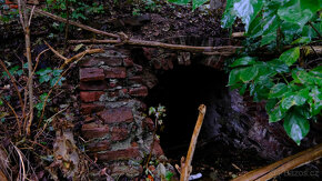 Prodej atyp.st.pozemek(1100 m2)areál zámku,Police u Jemnice - 5