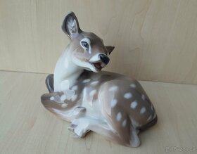 Královská Kodaň - kolouch - 5