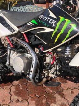 Pitbike wpb stomp 140 - 5