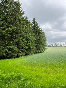 Les 176 427 m2 v České Kanadě - 5