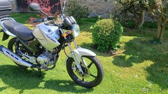 Yamaha YBR 125 - 5