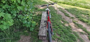 Specialized Stumpjumperer - 5