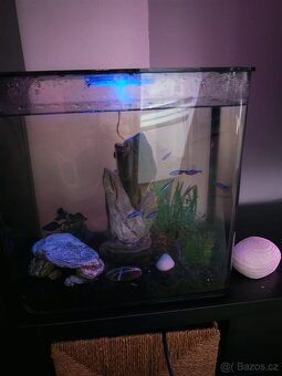 Biorb 30 l black - 5