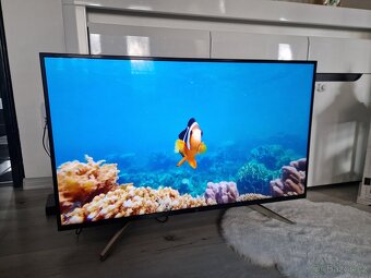 4K UltraHD Smart Tv Sony KD-43XF7596 - 5