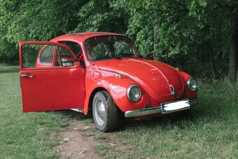 Volkswagen Brouk 1973 - 5