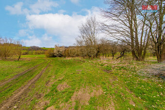 Prodej louky, 2200 m², Strašín - 5