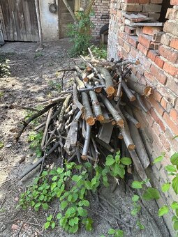 Dřevo na podpal - 5