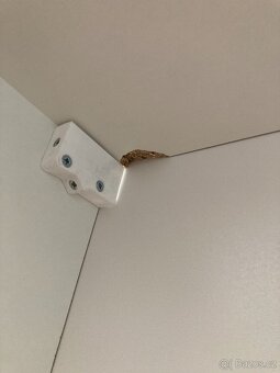 Koupelnová skříňka nízká Keramia Pro 50x21,6 cm bílá - 5