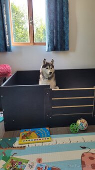 Porodní box, bedna 150x100 - 5