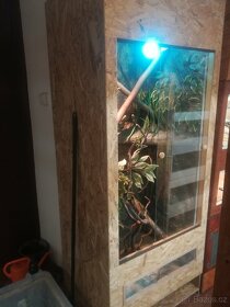 Nové kompletně vybavené terárium 120x60x60cm - 5