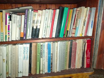 Knihy pro děti a mládež - 5