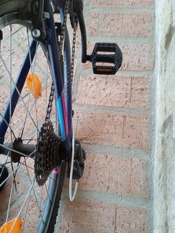 Rock Machine Catherine 24 - 5