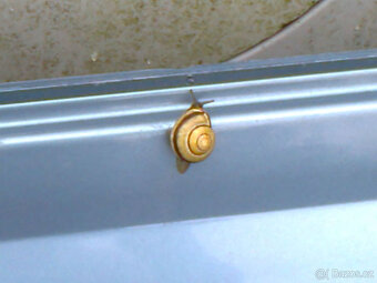 Peugeot 406,combi,5.dv.,break, náhr.díly - 5