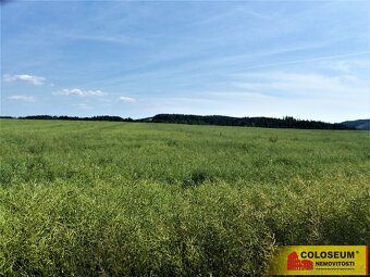 Letovice - zemědělská půda 7 225 m2 - pozemek - 5