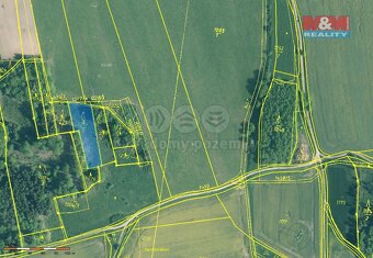 Prodej lesa, 24521 m², Skály - 5
