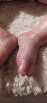 Reborn miminko - 5