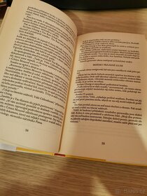 Záhada čínského bludiště - Robert van Gulik - 5