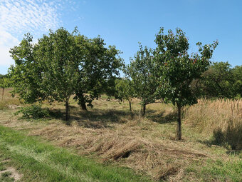 Pozemek Velké Pavlovice - 5