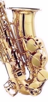 Prodám nový alt saxofon Startone - celý set - 5