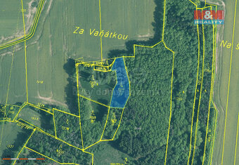 Prodej lesa, 20093 m², Skály - 5