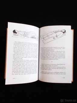 Krocení tygra - Tibetská učení pro všední život - 5