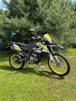 UM DSR EX 125 - 5