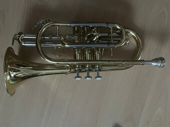 Prodám Bb kornet Carol Brass - 5