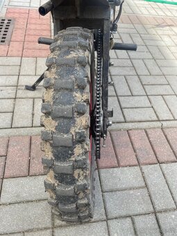 Fichtl cross - 5