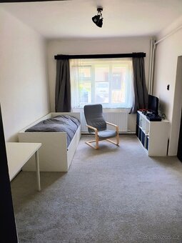 Hodinový manžel Olomouc a okolí – opravy, montáže, úklid - 5