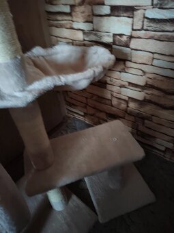 Škrabadlo pro kočky - 5