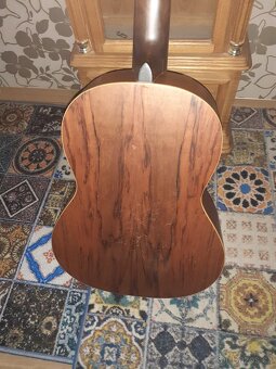 Kytara Schneider-1997 Classic 4/4 - 5