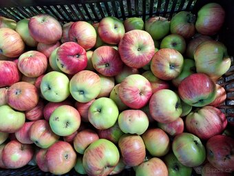 Nabídka jablek, ořechů a dřeva - 5