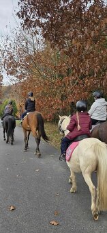 Letošní hřebeček - 5