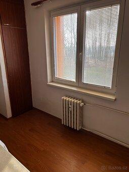 Pronájem - 5