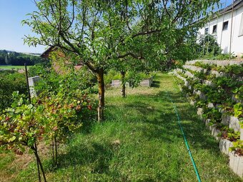 Chatka so zahradkou v Kunove, okres Senica - 5