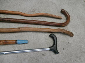 Hůlka, čakan, špacírka, 5 kusů za 600 kč včetně pošty - 5