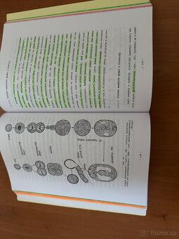 Biologie I - 5
