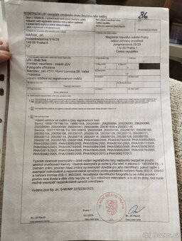 Želva zelenavá 🐢 - 5