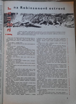 Pionýr kompletní ročník VII. 1960 - 5