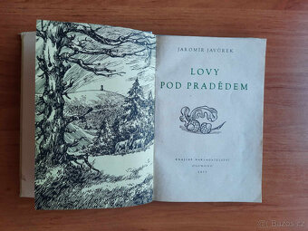 J. Javůrek - Lovy pod Pradědem - 5