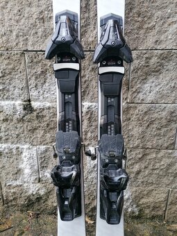 STOCKLI Laser SC 149cm r-11,1. Model 2024/2025 - 5