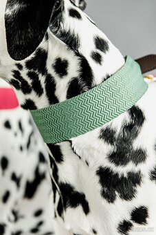 Kentucky - Obojek XL + vodítko - olive green - 5