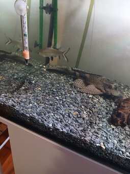 450L akvárium se skříní juwel - 5