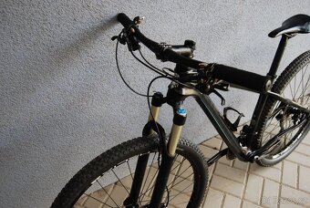 Bianchi Methanol 29 Carbon M - 5