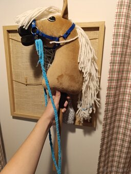 Larden xs hobby horse - 5