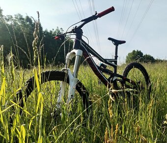 Specialized status 1 - 5