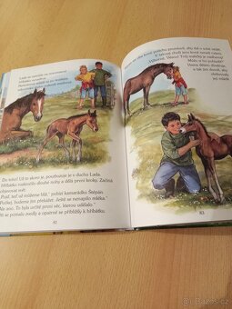 101 pohádek před spaním, Grindelwaldovy zločiny - 5