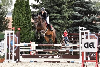 6 ročná kobyla - Madlen RUF - 5