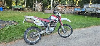 YAMAHA TTR600 - 5