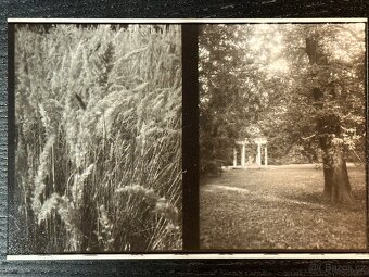 Fujica Drive - 5